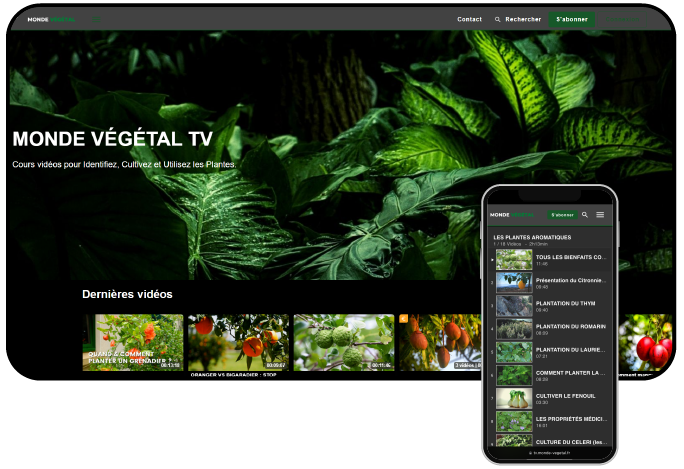 plateforme VOD de Monde végétal